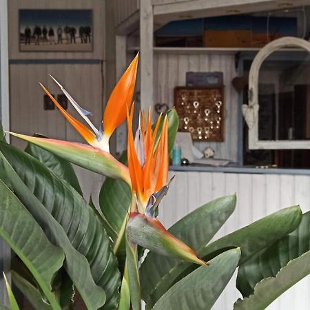 B&B Fischerstueble - Adults Only Hagnau Εξωτερικό φωτογραφία